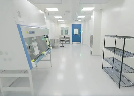 Gas Chromatography Mass-Spectrometry